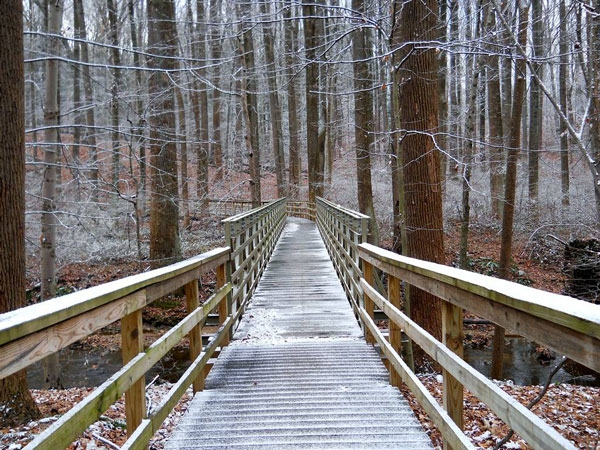 Χειμωνιάτικα τοπία που «κόβουν την ανάσα» (φωτο)